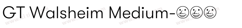 GT Walsheim Medium字体转换